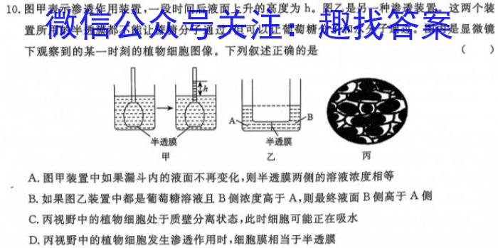 重庆市高2025届高三第一次质量检测(8月)生物学试题答案