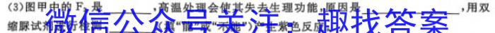 河北省2023-2024学年平泉市第一学期八年级期末考试生物学试题答案