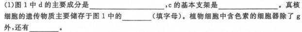 2024年山东省高二阶段性诊断测试(24-491B)生物学部分