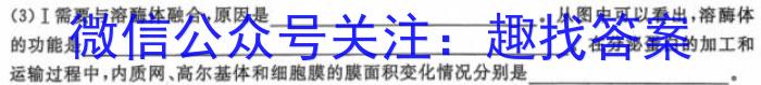 2023学年第二学期杭州市高二年级教学质量检测（期末考试）数学