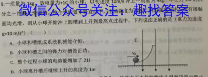 2024年河北省初中毕业升学摸底考试(一)(24-CZ107c)物理`