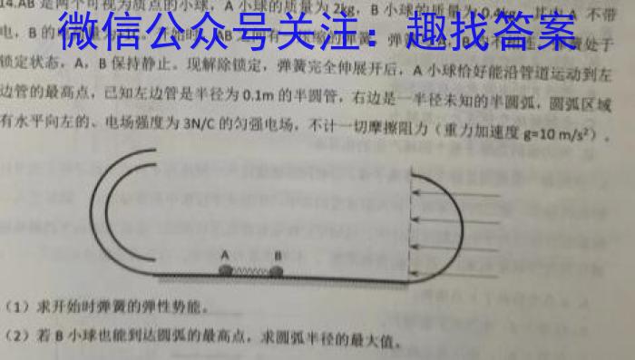 安徽2024-2025学年九年级开学考物理试卷答案