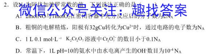 q文博志鸿2024年河南省普通高中招生考试模拟试卷(解密一)化学