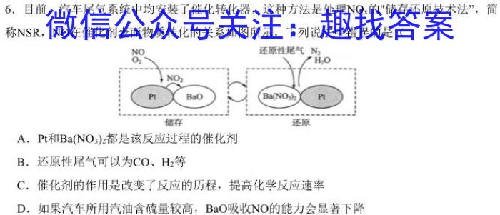 金科大联考·2023~2024学年度高一年级1月质量检测(24420A)数学