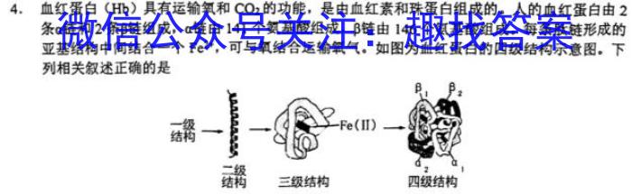 百师联盟2024届高三二轮复习联考(三)新教材生物学试题答案