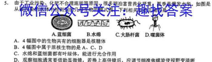 ［辽宁大联考］辽宁省2024届高三1月高考适应性联考生物学试题答案