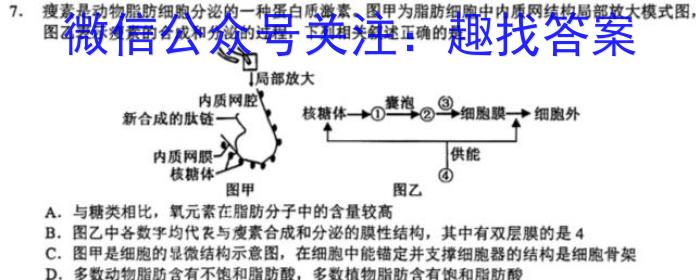 山东省德州市2025届高三年级9月联考生物学试题答案