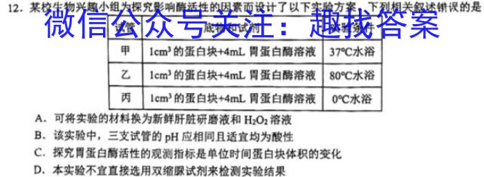 安徽省2024年九年级质量调研检测（二）数学h