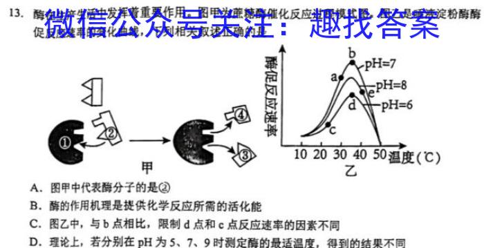 十堰市2024年高三4月调研考试(418C)生物