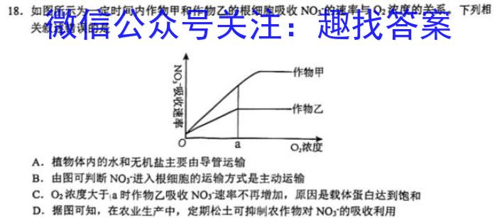 名校计划2024年河北省中考适应性模拟检测（导向二）数学