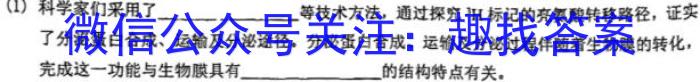 江西省新八校2024届高三第一次联考生物学试题答案