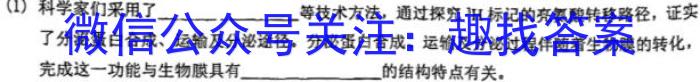 河北省“五个一”名校联盟2025届高三第一次联考数学