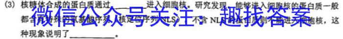 鼎尖教育·2024届高三年级上学期1月期末联考数学