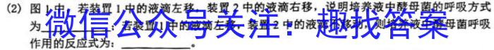 安徽省2026届七年级教学质量调研三（无标题）数学