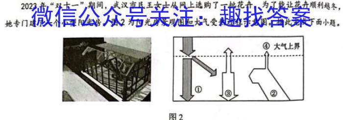 20245(ĵŴ).