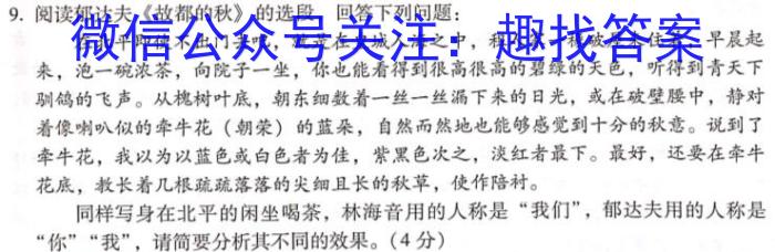 陕西省2024年初中学业水平考试模拟卷（四）D语文