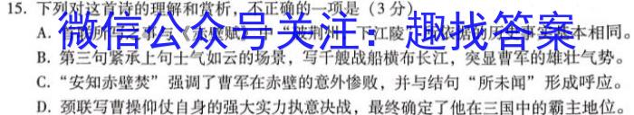 江西省南昌市2023-2024学年度九年级下学期3月联考语文