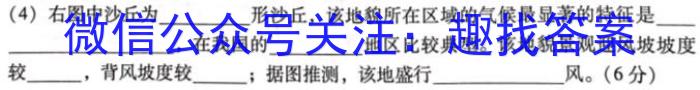 ［稳派联考］上进联考2024年高一年级下学期5月联考地理试卷答案