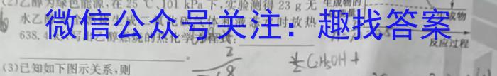 q2024届炎德英才大联考长郡中学模拟试卷(一)化学