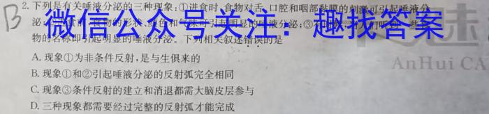 安徽省埇桥区教育集团2023-2024学年度九年级第一学期期末质量检测数学