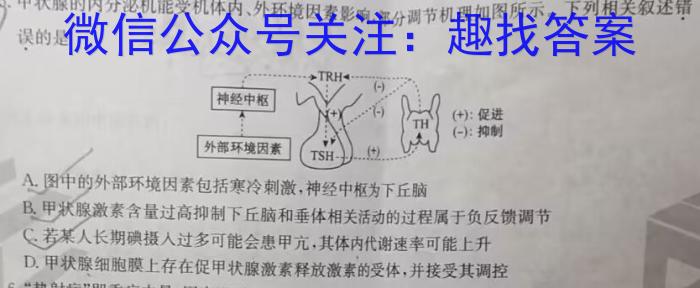 2024年陕西省初中学业水平考试突破卷（二）A生物