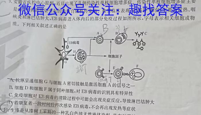 广东省大埔县2024年教学质量监测数学h