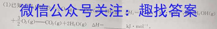 q陕西省2024年初中学业水平考试模拟试题(三)化学