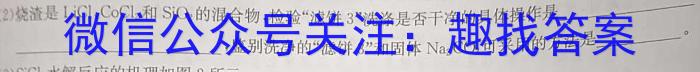 [江西中考]江西省2024年初中学业水平考试数学