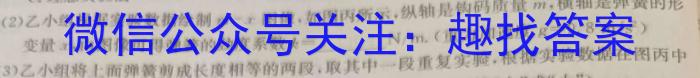 河北省衡水中学2024-2025学年度高二年级上学期第一学期综合素养测评物理试题答案