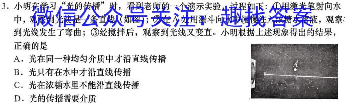 湖南省2024届高三一起考大联考(压轴一)物理试题答案