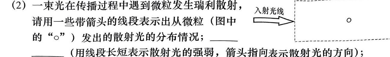 安徽省池州市东至县2024届九年级上学期1月期末考试-物理