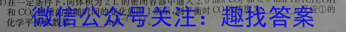 2024年安徽中考合肥十校最后一卷(6月)数学