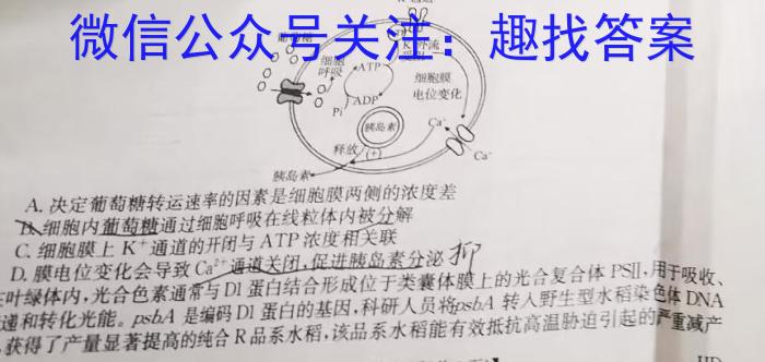 2024届新高考教学教研联盟高三第一次联考英语