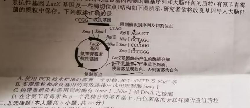 2024年河北省普通高中学业水平选择性考试冲刺压轴卷(二)生物学部分