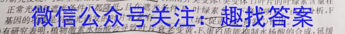 2024届[绥化三模]黑龙江绥化市高三5月联考模拟检测卷数学