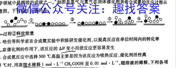 32023-2024学年广东高一第一学期期末教学质量检测(24-325A)化学试题