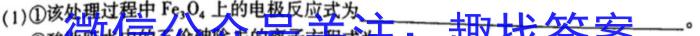 f安徽省2023-2024学年九年级上学期期末教学质量调研(1月)化学