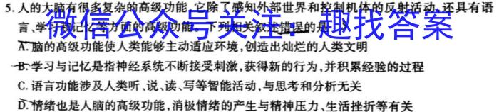 2024年河南省新高考信息卷(一)英语