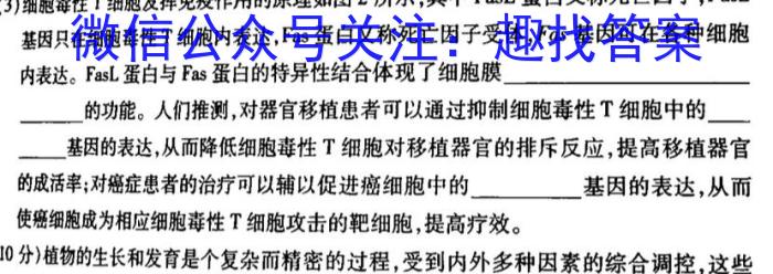 [佛山二模]2023~2024学年高三佛山市普通高中教学质量检测(二)2024.04生物学试题答案