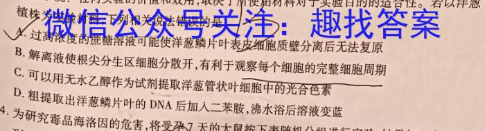 2024年普通高等学校招生全国统一考试冲刺压轴卷(四)生物学试题答案