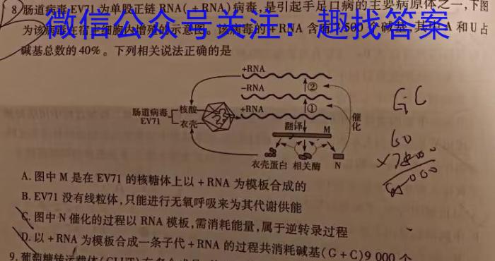 陕西省2024年九年级第五次摸底考试数学h