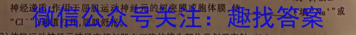 2024考前信息卷·第七辑 重点中学、教育强区 考前猜题信息卷(三)3英语