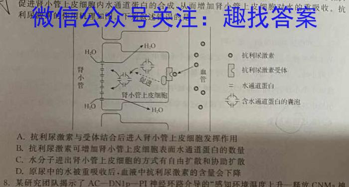 九师联盟2025届高三8月开学考生物学试题答案