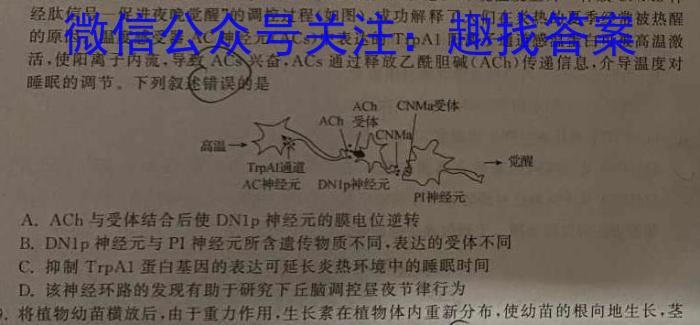 2024年河南省新高考信息卷(四)英语