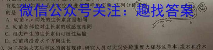 解读卷 2024年陕西省初中学业水平考试模考试卷(四)4生物学试题答案