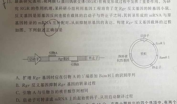鼎成原刨模考 2024年河南省普通高中招生考试 核心诊断卷生物学部分