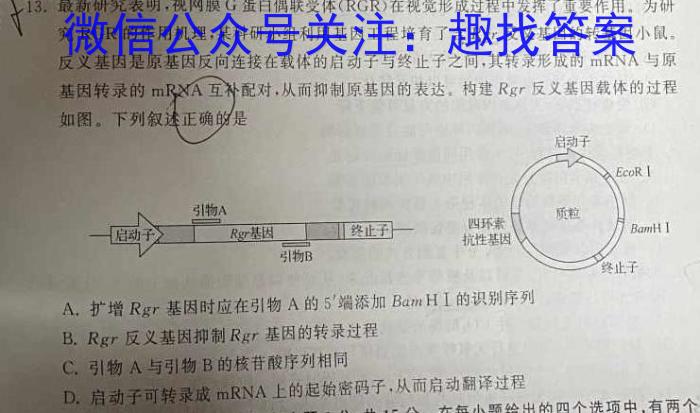 陕西省七年级旬阳市2023-2024学年度第二学期期末质量监测数学