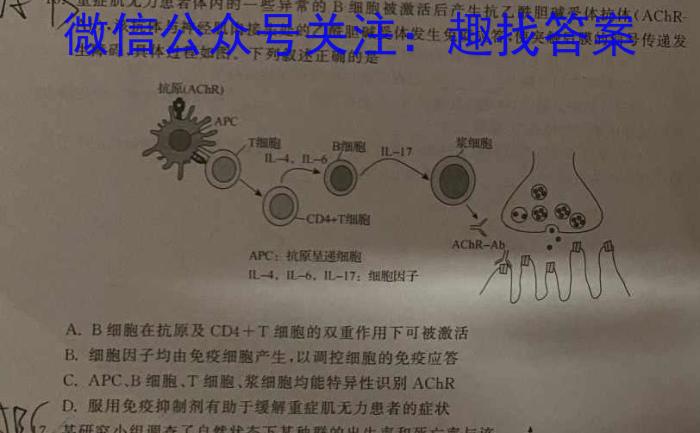 [泰安二模]山东省泰安市2023-2024学年高三二轮检测数学