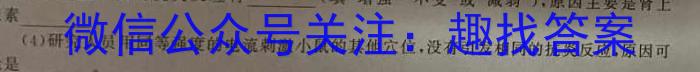 安徽省淮三角联盟2024年春季学期八年级教学检测评价（5月）数学