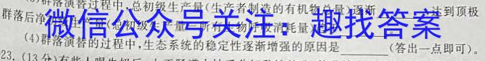 山西省大同一中南校2024-2025学年第一学期八年级阶段性综合素养评价（二）数学